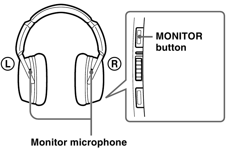 Monitor microphone