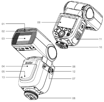 Name of Parts - Body