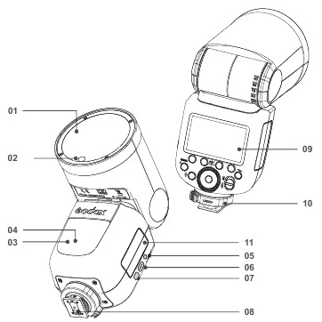 Name of Parts - Body 