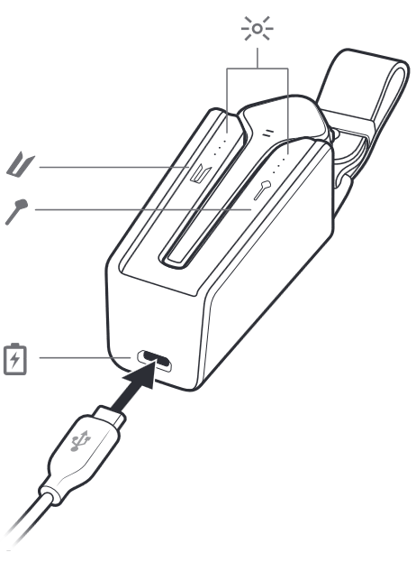 Optional charge case overview