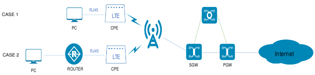 IP Pass-Through