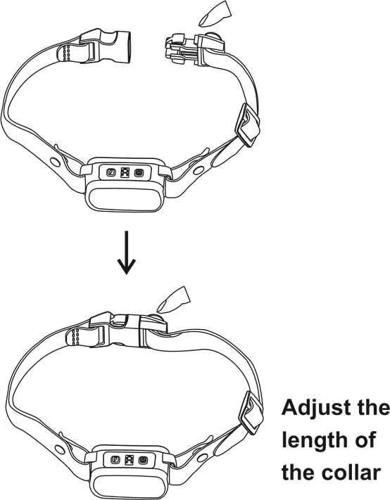 Patpet No Bark Collar A12 Manual ManualsLib