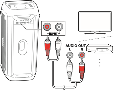 INPUT Connection