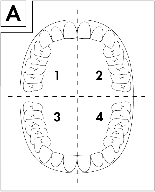 Nevadent NBZ 45 A1, 373276 2104 Electric Toothbrush Operating