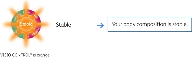 VISIO CONTROL Stability