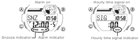 Alarm Indicators