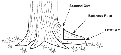 CRAFTSMAN S165, S185 - 18 inch 42cc Chainsaw Manual | ManualsLib