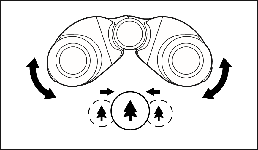 Olympus 8X25, 12X25, 10X25 PCI Porro Prism Compact Binoculars Manual