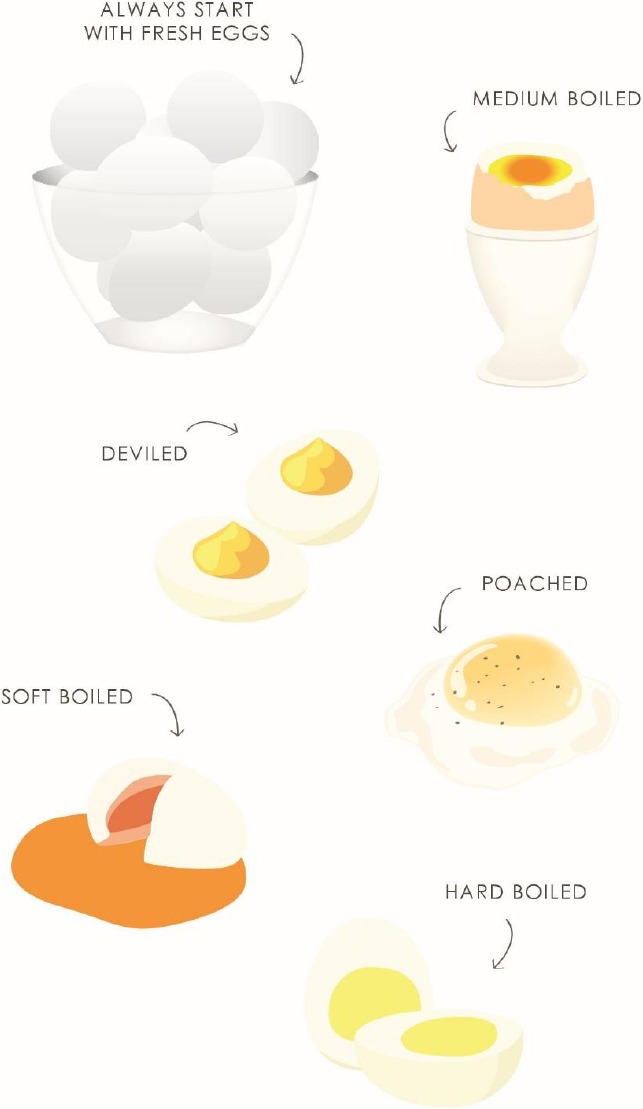 Elite Gourmet EGC314 Easy Egg Cooker Instruction Manual