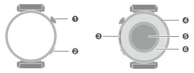 HUAWEI WATCH GT 4 (41 mm) diagram