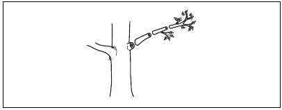 To use the product - Step 2