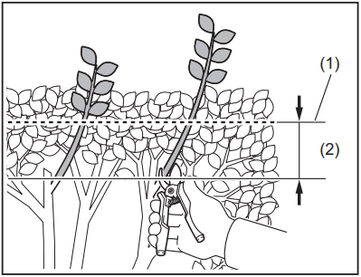 OPERATION - Cutting the branches