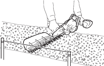 OPERATION - Using a string to cut hedge top evenly