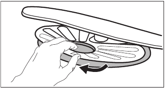 CLEANING THE FILTERS - Step 2 - Remove flat filter
