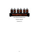 Nixie Clock IN-12 Product Manual