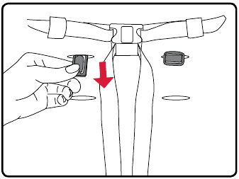 Adjusting the Harness - Step 2