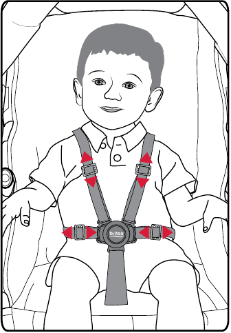 Securing Your Child - Step 3 - Adjust the harness