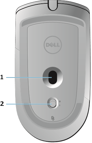 Mouse Features - Bottom View