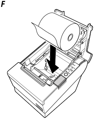 Installing Roll Paper - Step 2