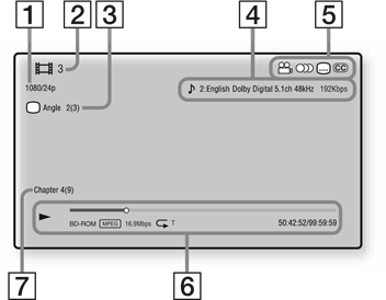 Displaying the play information
