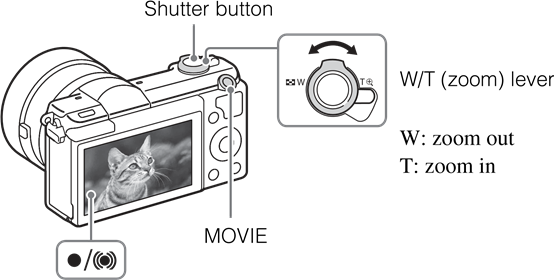 Shooting still images/movies