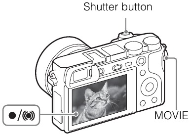 Shooting still images/movies