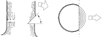 Tree felling technique - Directional cuts - Step 2