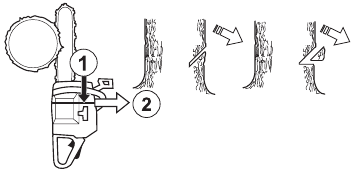Tree felling technique - Directional cuts - Step 1