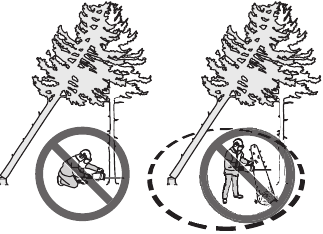 Precaution for removing a trapped tree