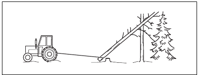 Safest procedure to free trapped tree - Example 1