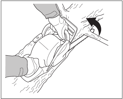 Using the limbing technique - Step 1