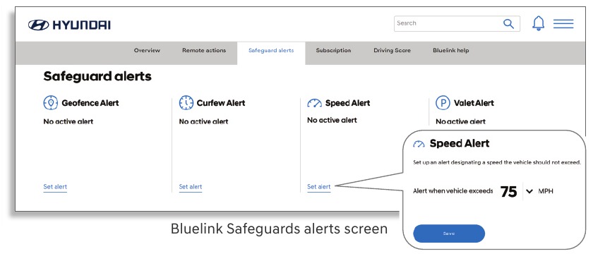 Hyundai Bluelink Manual | ManualsLib