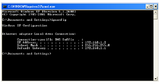 Check Your IP Address