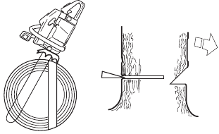 Felling cut - Step 1