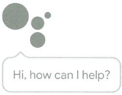 GOOGLE HOME MINI MANUAL PDF visual data 5