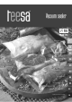 Teesa V100 Owner's Manual