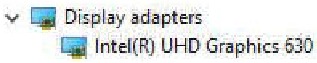Software - Checking the Display adapter