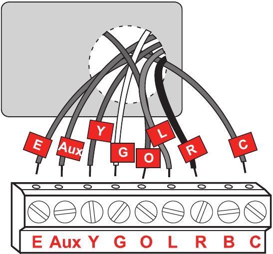 Basic Installation - Step 6