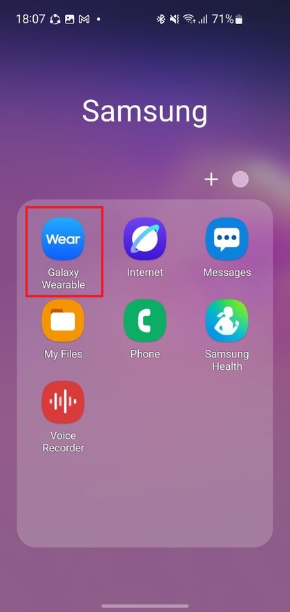 Samsung Wearable app interface
