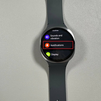 Notifications option in Galaxy Watch 8 settings menu