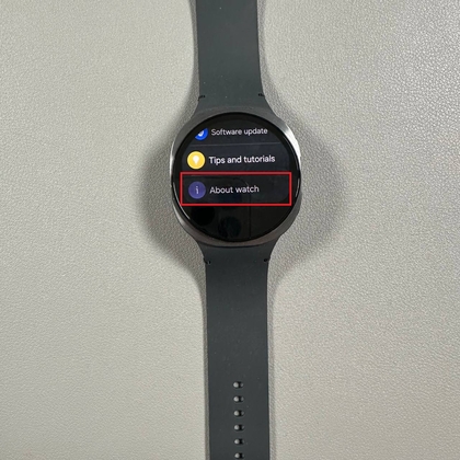 About Watch section on Samsung Galaxy Watch 8 LTE