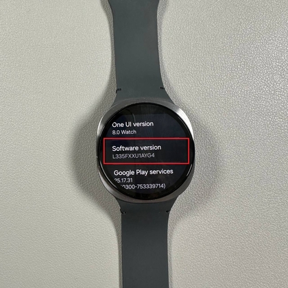 Developer Options menu on Samsung Galaxy Watch 8 LTE