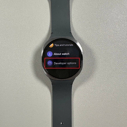 Developer Options menu on Samsung Galaxy Watch 8 LTE