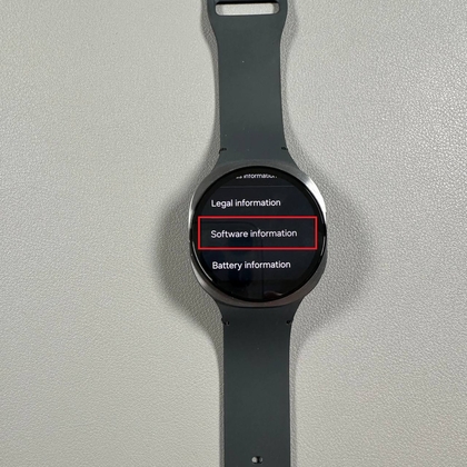 Software Information screen on Samsung Galaxy Watch 8 LTE