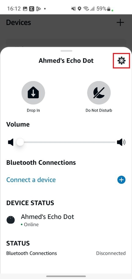 Echo Dot stuck in 