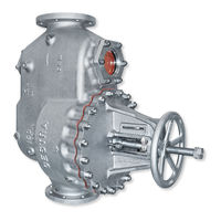 Gestra GK 11 Installation Instructions Manual