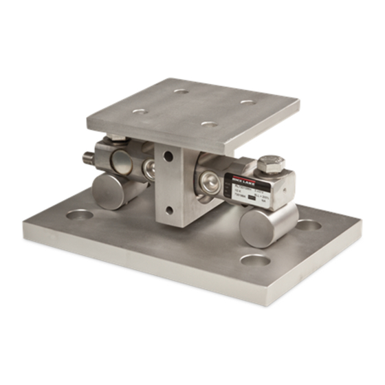 Rice Lake EZ Mount Installation Manual