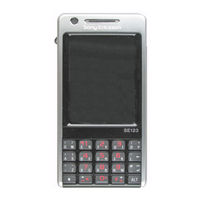 Sony Ericsson P1i Working Instructions