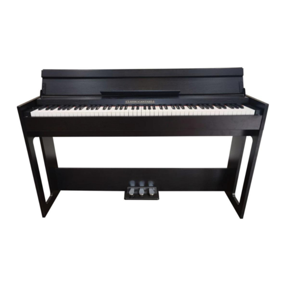 Classic Cantabile DP S1 User Manual