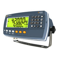Rinstrum 400  Series Reference Manual